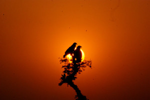 Funny Quotes Contact Us DMCA Notice