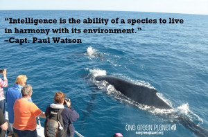 Have a favorite quote that you don’t see here? Tell us what it is ...