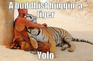 Related Pictures yolo drake meme quickmeme