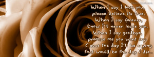 When I say I love you please believe its true Facebook Cover Layout