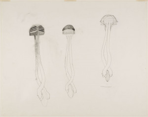 216931_3394616.jpg (800×635)