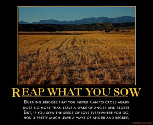 Moral:- as you sow as you reap.
