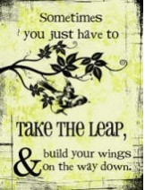 Sometimes you just have to take the leap