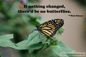 ... nothing changed, there would be no butterflies. A quote by Walt Disney
