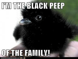 Black peep of the family