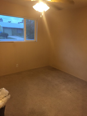 Crazyblackman's Brutus - Page 6 - Miata Turbo Forum - Turbo Kitten is ...