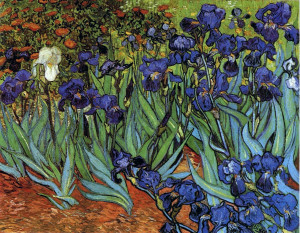 Van Gogh’s ‘Irises’