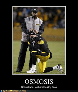 Related Pictures pittsburgh steelers funny pictures