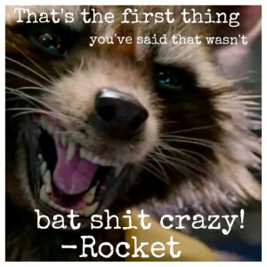 Bat shit crazy! Guardians of the Galaxy. Rocket Quotes. Quotes.