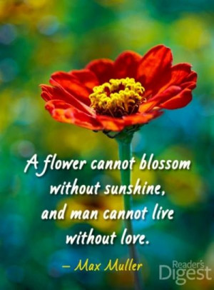 Six romantic love quotes | Reader's Digest Australia www.readersdigest ...