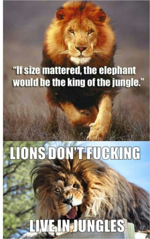 Leave a Reply Cancel reply