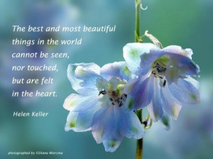 ... and most beautiful things in the world cannot be seen flowers quote