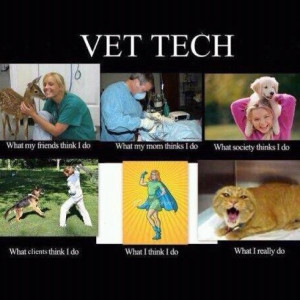 Hex Yeah… Registered Veterinary Technician… Love My Life ...