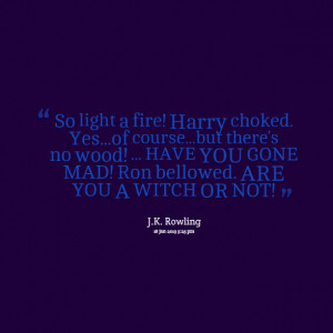 Quotes Picture: so light a fire! harry choked yesof coursebut there's ...