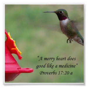 Hummingbird Proverbs 17:20 Bible Verse Photograph