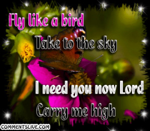 Fly Like A Bird picture