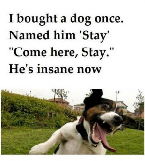 ... here, Stay.” He’s insane now. Via FB/Shut Up I’m Still Talking #