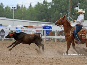 Team Roping Quotes