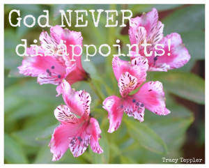 My encouragement to you is to place your expectations on Christ, He ...