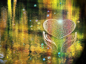 What does compassion mean to you and how does it show up in your daily ...