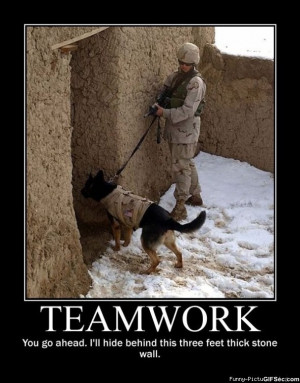 Funny Teamwork Meme