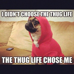 thug life!