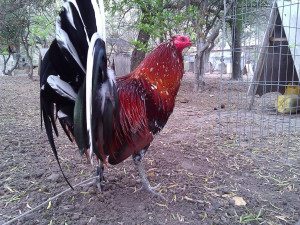 Funny Quotes Contact Dmca