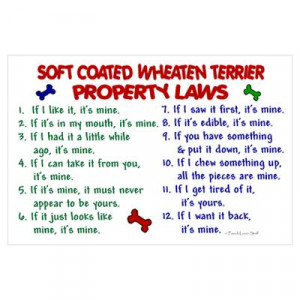 ... > Posters > Soft Coated Wheaten Terrier Property Laws 2 Large Poster