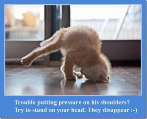 Good Morning Quotes Thursday