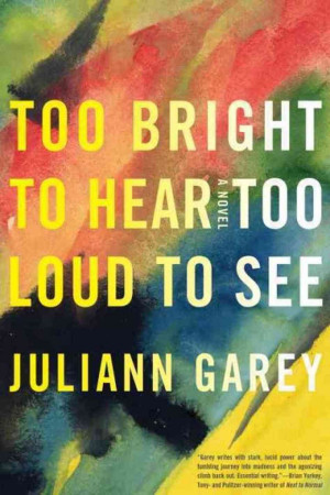 Excerpt: Too Bright To Hear Too Loud To See