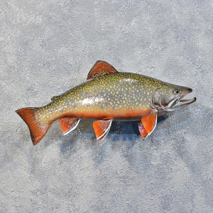 Brook Trout Repro Taxidermy...