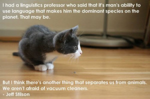 Cat vacuum cleaner quotes