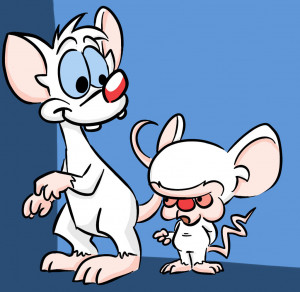 Pinky And The Brain Are You Pondering Quotes