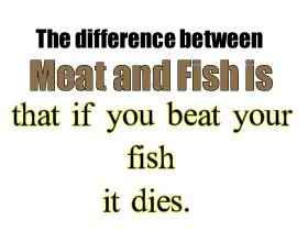 fish photo fish-1.jpg