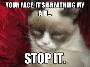 Grumpy Cat Quotes