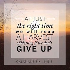 ... Perseverance #Blessing #DontGiveUp #Hope #StayStrong #Quote #Scripture