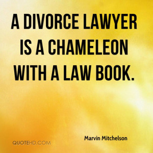 ... -mitchelson-lawyer-a-divorce-lawyer-is-a-chameleon-with-a-law