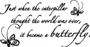 ... The Caterpillar Thought The World Was Over It Becamse A Butterfly