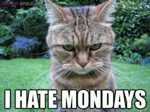 Monday ugh!!