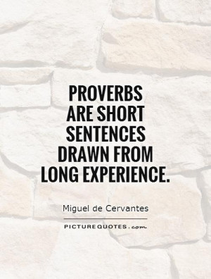 Experience Quotes Proverb Quotes Miguel De Cervantes Quotes