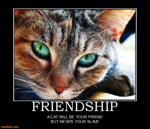 friendship-cat-friend-animal-slave-funny-demotivational-posters ...