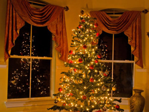 Christmas tree in a living room