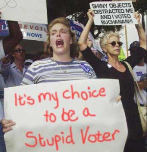 Stupid Voter