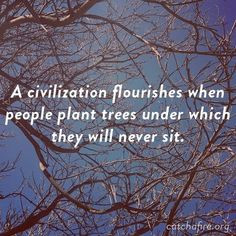 civilization flourishes when people plant trees under which they ...