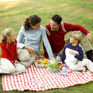 Summer Family Activity: Have A Picnic