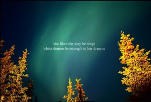 ... northern lights trees typography times new roman image quotes sayings