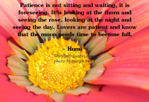 Rumi quote - Patience is not sitting and waiting
