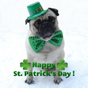 Puppies Funny Pug St. Patrick's Day