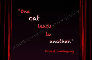 Ernest Hemingway Cat Quote Art 5x7 Black by JenniferRoseGallery, $10 ...