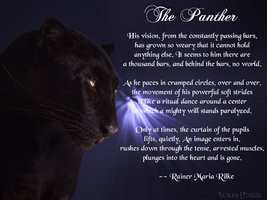 Panther Quotes